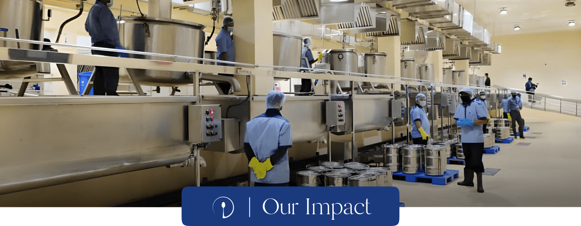 World Food Movement impact overview